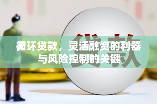埌东循环贷款，灵活融资的利器与风险控制的关键