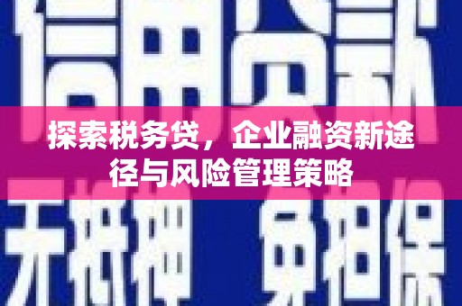 埌东探索税务贷，企业融资新途径与风险管理策略