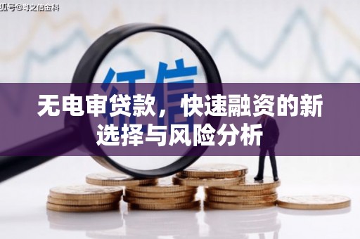 埌东无电审贷款，快速融资的新选择与风险分析