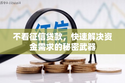 埌东不看征信贷款，快速解决资金需求的秘密武器