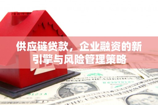 埌东供应链贷款，企业融资的新引擎与风险管理策略
