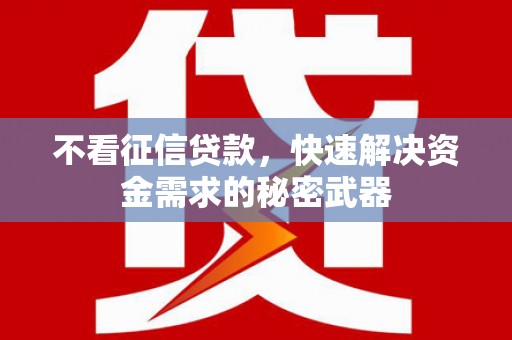 埌东不看征信贷款，快速解决资金需求的秘密武器