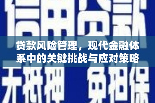 埌东贷款风险管理，现代金融体系中的关键挑战与应对策略