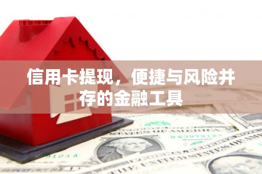埌东信用卡提现，便捷与风险并存的金融工具