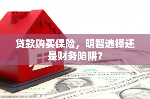 埌东贷款购买保险，明智选择还是财务陷阱？