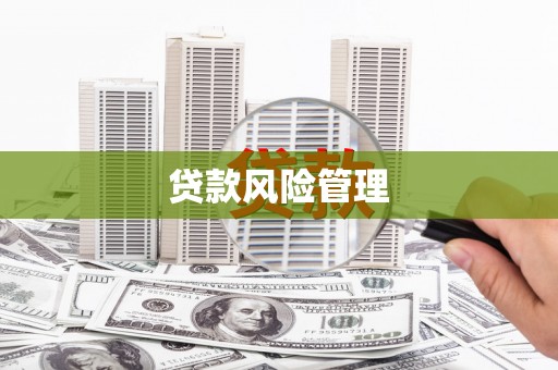 埌东贷款风险管理
