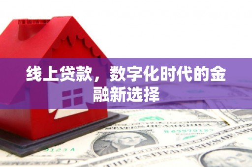 埌东线上贷款，数字化时代的金融新选择