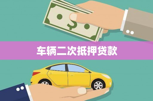 埌东车辆二次抵押贷款