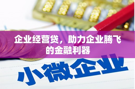 埌东企业经营贷，助力企业腾飞的金融利器