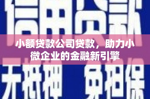 埌东小额贷款公司贷款，助力小微企业的金融新引擎
