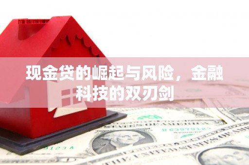 埌东现金贷的崛起与风险，金融科技的双刃剑