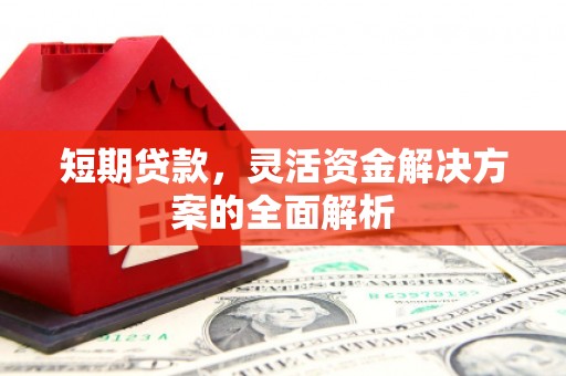 埌东短期贷款，灵活资金解决方案的全面解析