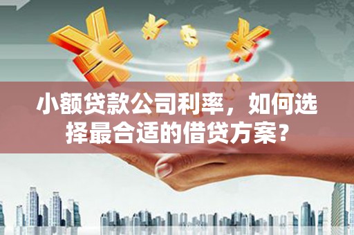 埌东小额贷款公司利率，如何选择最合适的借贷方案？