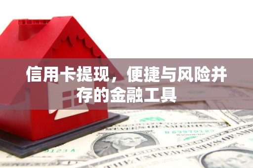 埌东信用卡提现，便捷与风险并存的金融工具