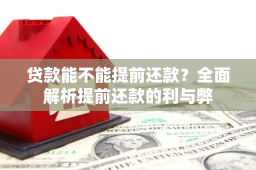 埌东贷款能不能提前还款？全面解析提前还款的利与弊
