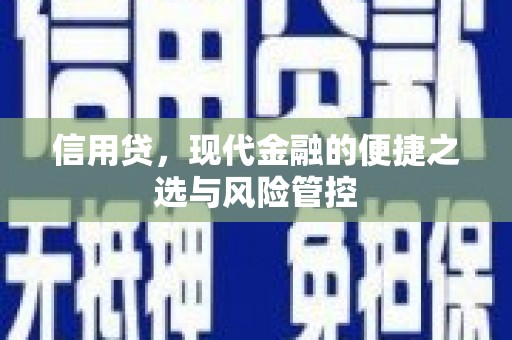 埌东信用贷，现代金融的便捷之选与风险管控