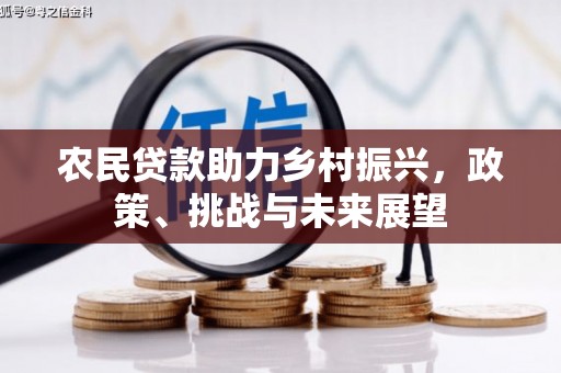 埌东农民贷款助力乡村振兴，政策、挑战与未来展望