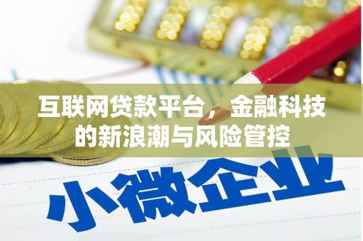 埌东互联网贷款平台，金融科技的新浪潮与风险管控