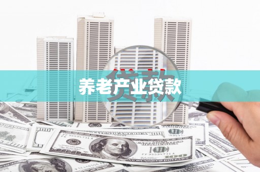 埌东养老产业贷款
