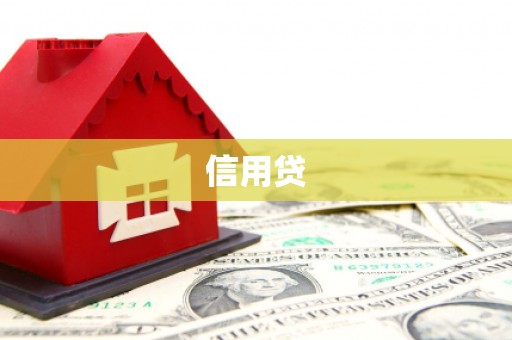 埌东信用贷