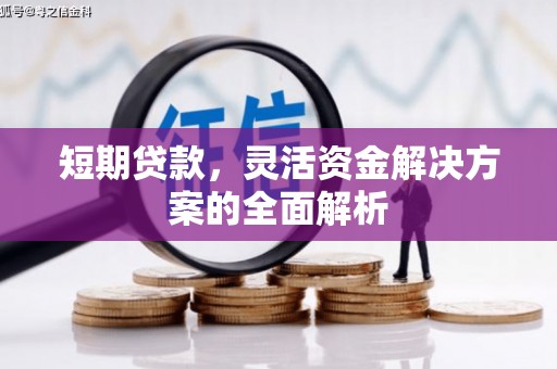 埌东短期贷款，灵活资金解决方案的全面解析