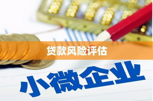 埌东贷款风险评估