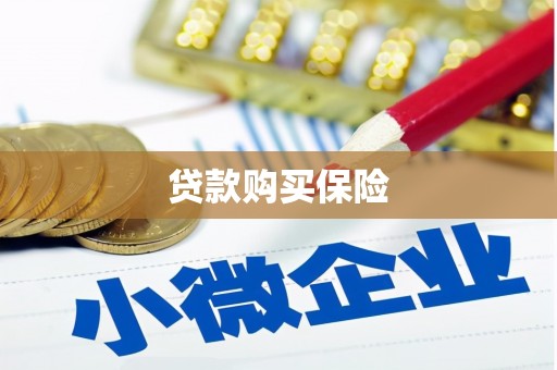 埌东贷款购买保险