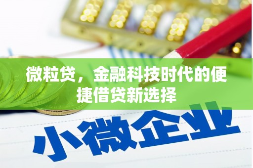 埌东微粒贷，金融科技时代的便捷借贷新选择