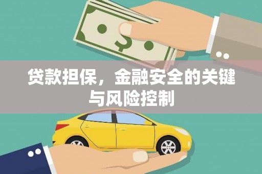 埌东贷款担保，金融安全的关键与风险控制