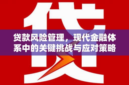 埌东贷款风险管理，现代金融体系中的关键挑战与应对策略