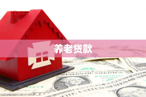 埌东养老贷款