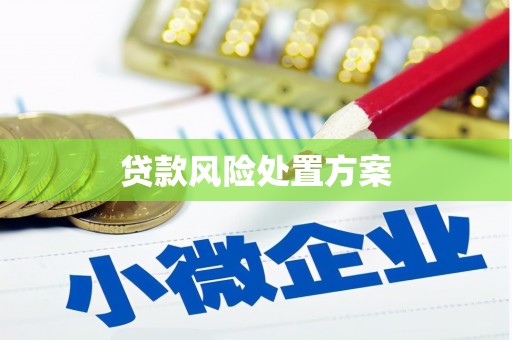 埌东贷款风险处置方案