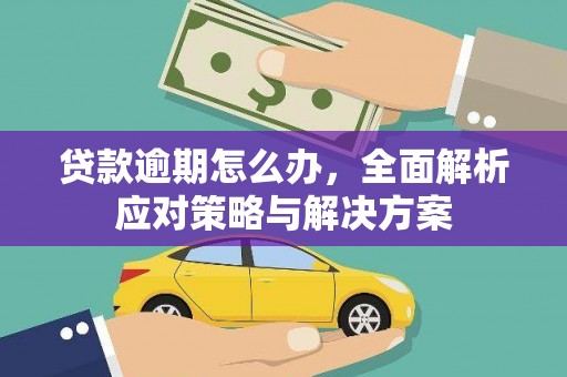 埌东贷款逾期怎么办，全面解析应对策略与解决方案