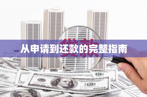 埌东从申请到还款的完整指南