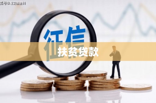 埌东扶贫贷款