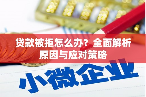 埌东贷款被拒怎么办？全面解析原因与应对策略