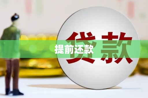 埌东提前还款