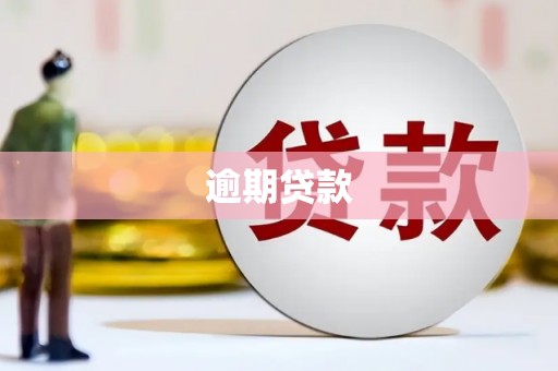 埌东逾期贷款