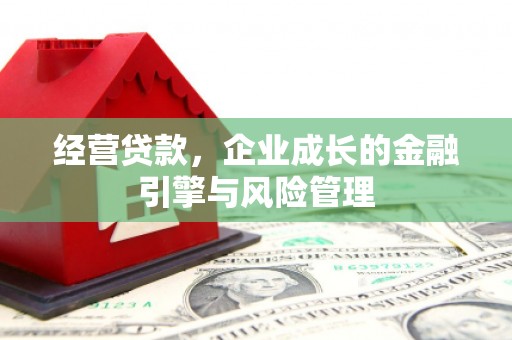 埌东经营贷款，企业成长的金融引擎与风险管理